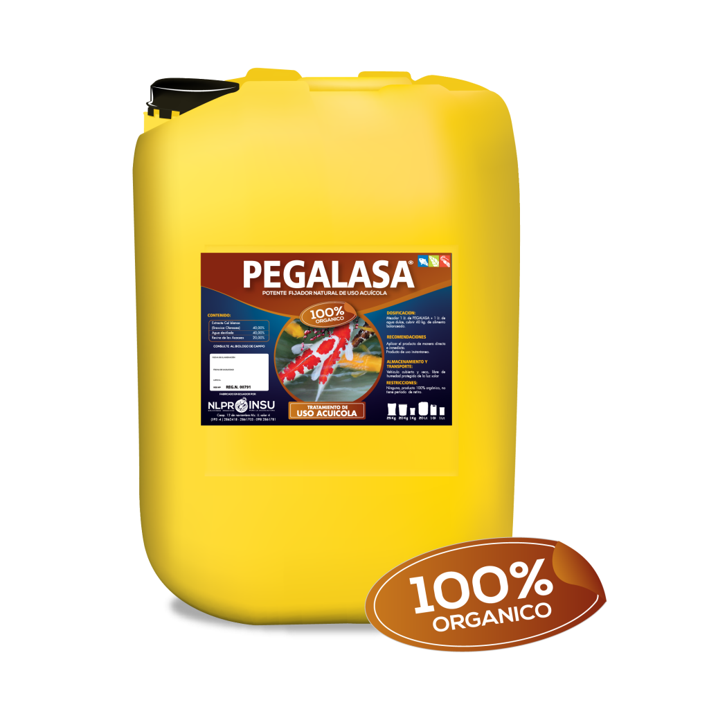 pegalasa-nlproinsu
